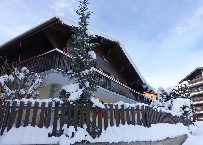 Christy Domek alpejski *