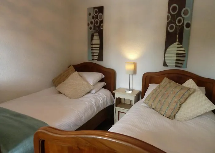 Christy Domek alpejski *